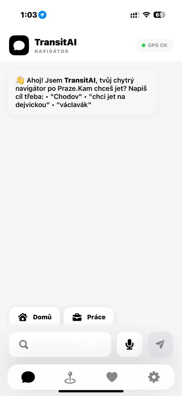 TransitAI, chat